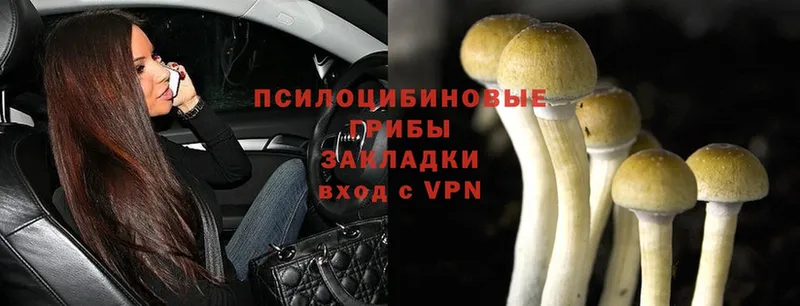 Псилоцибиновые грибы Psilocybine cubensis  darknet какой сайт  Троицк 